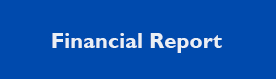 Financial report Website